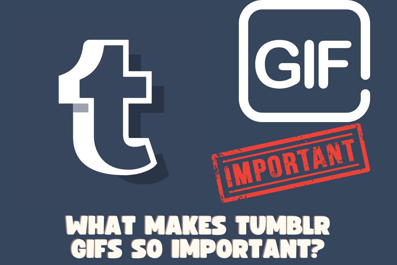 What Makes Tumblr GIFs So Important